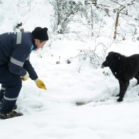 Kar bastırdı can dostlar unutulmadı 