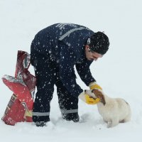 Kar bastırdı can dostlar unutulmadı 