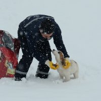 Kar bastırdı can dostlar unutulmadı 