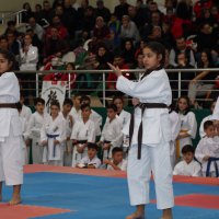 Kyokushin Karate Türkiye Şampiyonası başladı 