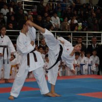 Kyokushin Karate Türkiye Şampiyonası başladı 