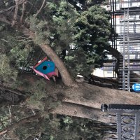 Koca yürekli minik eller 