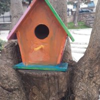 Koca yürekli minik eller 