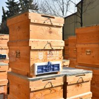 Kırsal kalkınmada üreticiye tam destek 