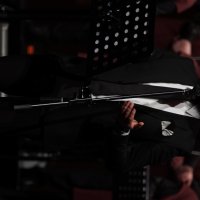 Duygulandıran musiki 