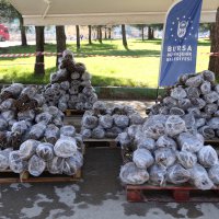 Ahududu üretiminde kalite artıyor 