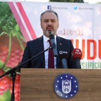 Ahududu üretiminde kalite artıyor 