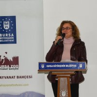 Hayvanat Bahçesi’nde gündem: Su 