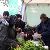  Tanzim satışlara 2 gün ara 