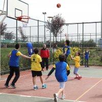 Potada büyük mücadele başladı 