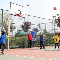 Potada büyük mücadele başladı 