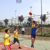 Potada büyük mücadele başladı 