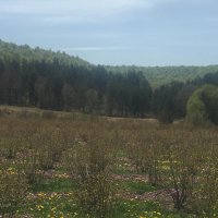 Çiftçiye tam destek 