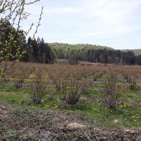 Çiftçiye tam destek 