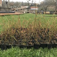 Çiftçiye tam destek 