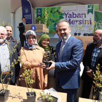 Üretici ‘yaban mersini’ ile kalkınıyor 