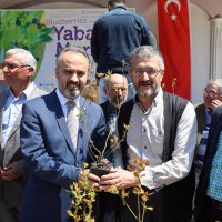 Üretici ‘yaban mersini’ ile kalkınıyor 