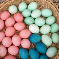 Müzede  ‘Hıdırellez’  ateşi yakıldı 