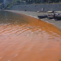 Panik yok; sadece alg patlaması 