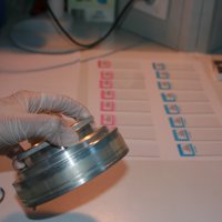 Bursa’nın polen değerleri kayıt altında 