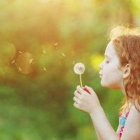 Bursa’nın polen değerleri kayıt altında 