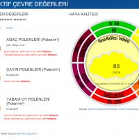 Bursa’nın polen değerleri kayıt altında 