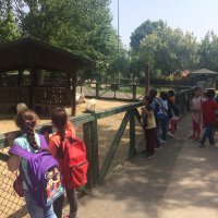 Sağlıklı çevre için duyarlı nesiller 