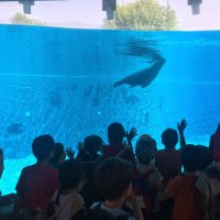 Sağlıklı çevre için duyarlı nesiller 