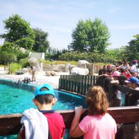 Sağlıklı çevre için duyarlı nesiller 