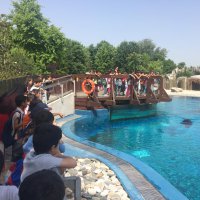 Sağlıklı çevre için duyarlı nesiller 