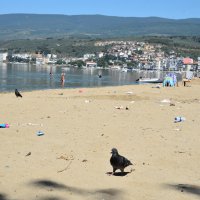 Gönüllü çevrecilerle sahil temizliği 