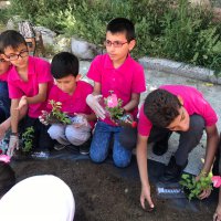 Sağlıklı çevre için fidan dikimi 