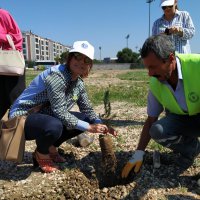 Sağlıklı çevre için fidan dikimi 