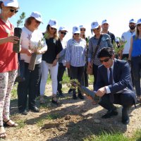 Sağlıklı çevre için fidan dikimi 