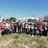 Sağlıklı çevre için fidan dikimi 