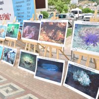 ‘Denizden babam çıksa yerim’ demeden önce bir kez daha düşünün 