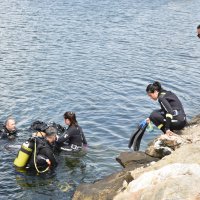 ‘Denizden babam çıksa yerim’ demeden önce bir kez daha düşünün 