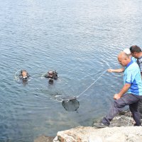 ‘Denizden babam çıksa yerim’ demeden önce bir kez daha düşünün 