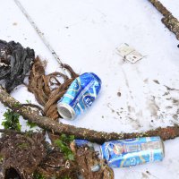 ‘Denizden babam çıksa yerim’ demeden önce bir kez daha düşünün 