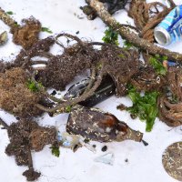 ‘Denizden babam çıksa yerim’ demeden önce bir kez daha düşünün 