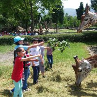 Hayvanat Bahçesi’nde bayram rekoru 