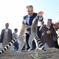 Hayvanat Bahçesi’nde bayram rekoru 