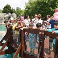Hayvanat Bahçesi’nde bayram rekoru 