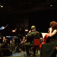 Dünyaya barışı haykıran festival başladı 