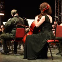 Dünyaya barışı haykıran festival başladı 