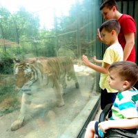 Karneyi alan Hayvanat Bahçesi'ne koştu  