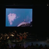 Bursa’da ‘Bir Tayyareci’ öyküsü; Vecihi Hürkuş 