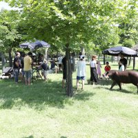 Bursa, doğal film platosu 