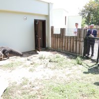 Bursa Zoopark, ‘zebra’daki konumunu güçlendirdi  