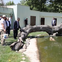 Bursa Zoopark, ‘zebra’daki konumunu güçlendirdi  